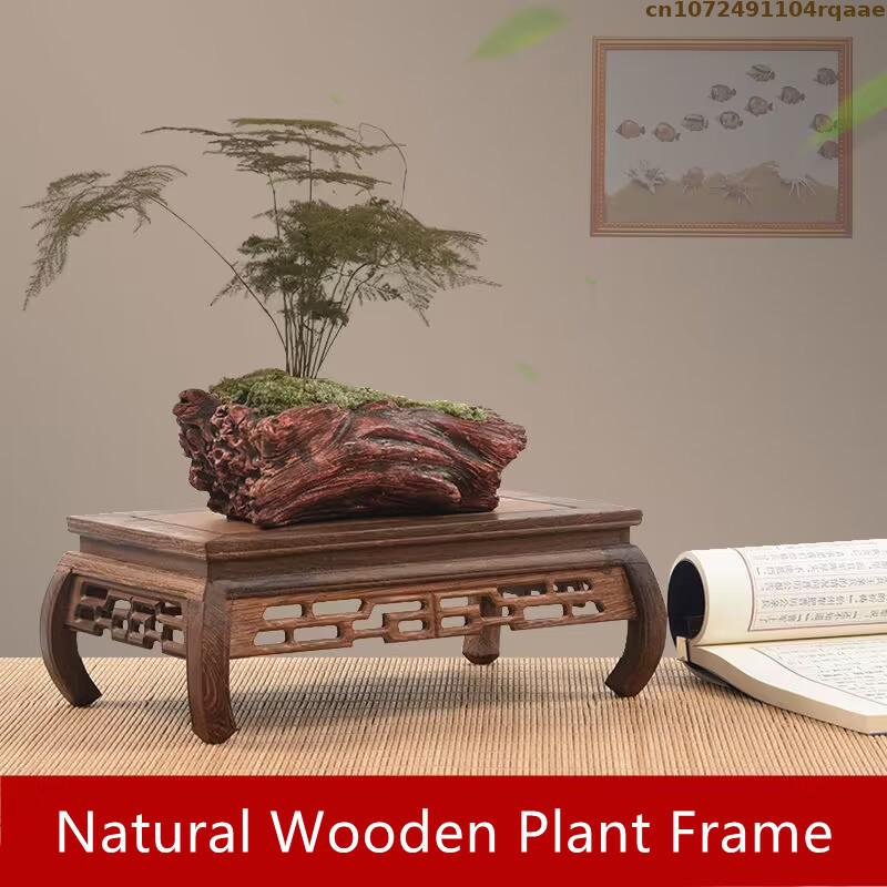 Premium Wooden Bases Bonsai Ho - Coffee Tea For Plants 리뷰 및 가격