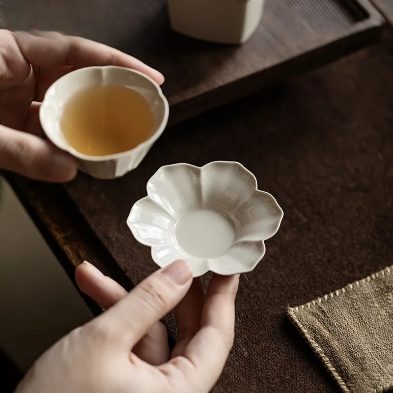Plant Ash Sunflower Coasters L - Coffee Tea For Plants 리뷰 및 가격
