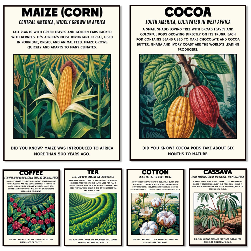 African plant prints, cassava, - Coffee Tea For Plants 리뷰 및 가격