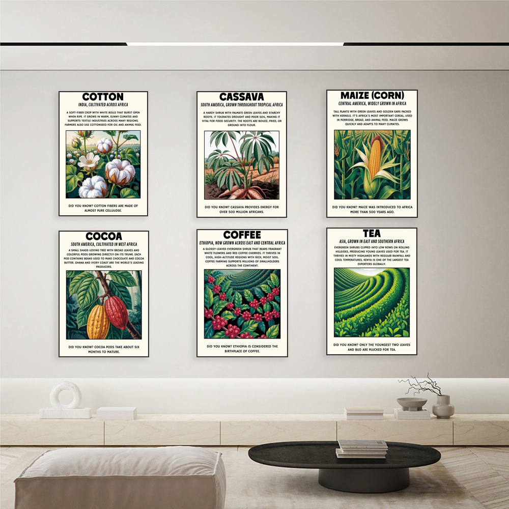 African plant prints, cassava, - Coffee Tea For Plants 리뷰 및 가격